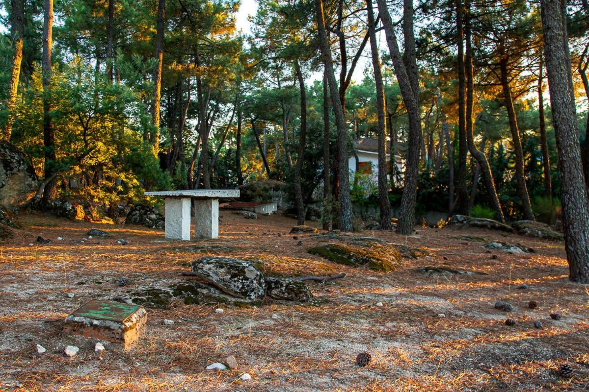 منزل الضيف Cadalso de los Vidrios  في Casa Cadalso, Mirador De Gredos, Madrid المظهر الخارجي الصورة